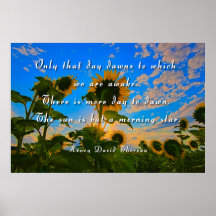 Thoreau, étoile du matin