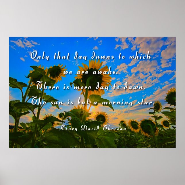 Affiche Thoreau, étoile du matin (Devant)