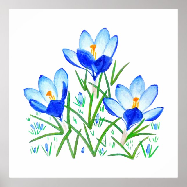 Affiche Three Blue Crocus Flowers Print (Devant)