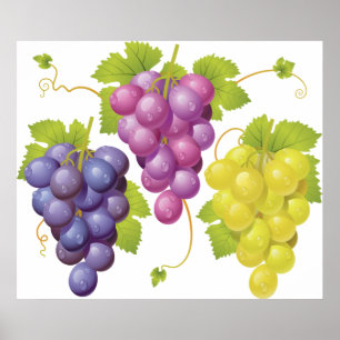 Affiche Three Bunches Of Grapes