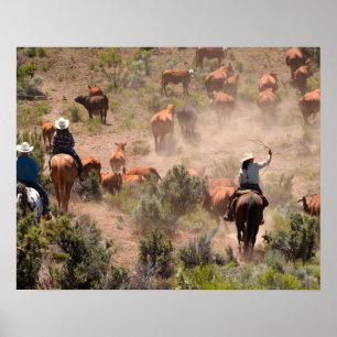Affiche Three cowboys and cowgirls driving cattle