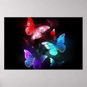 Affiche Three Glowing Butterflies on night background