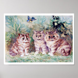 Affiche Three Kittens