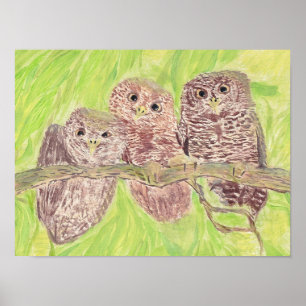 Affiche Three Little Scowling Owls - acrylic painting.
