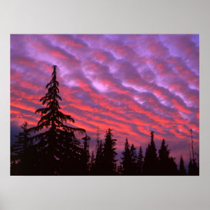 Affiche Three Sisters Wilderness, Oregon