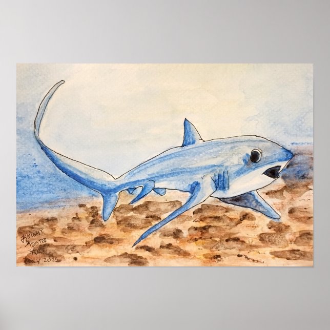 Affiche Thresher Shark (Devant)