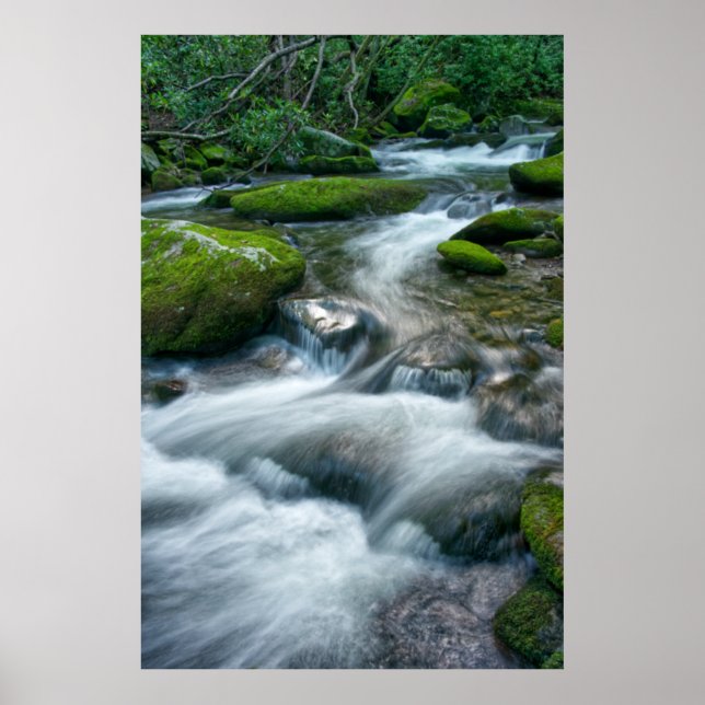 Affiche Thunderhead Prong 16 (Devant)