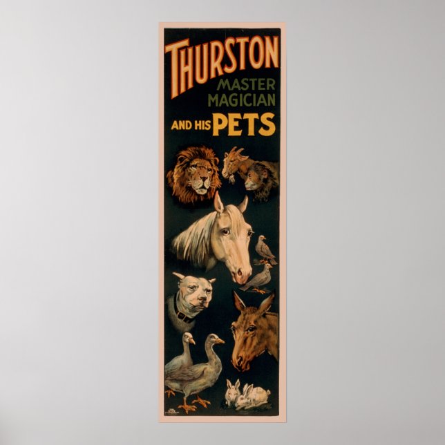 Affiche Thurston maître magicien et ses animaux domestique (Devant)