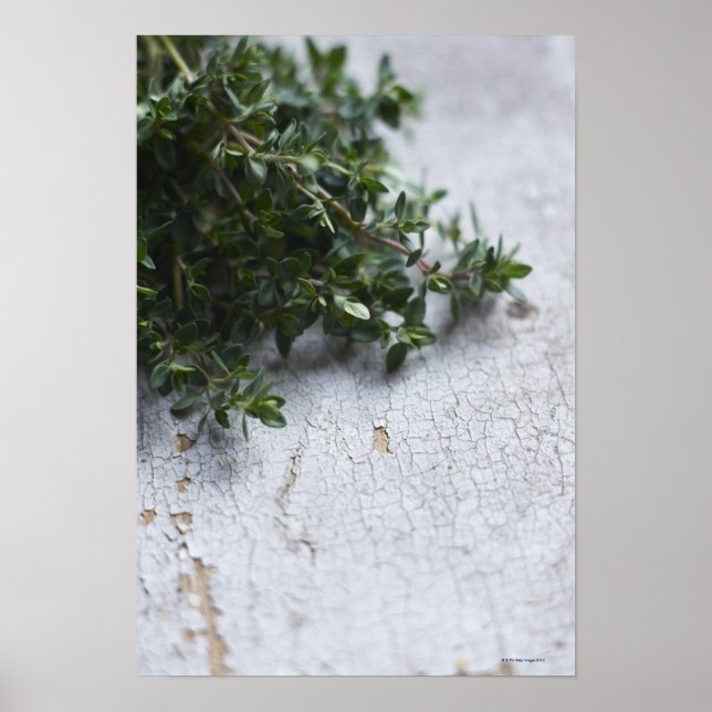 Affiche Thyme sur une vieille table en bois (Devant)