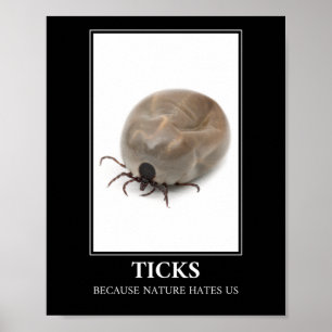 Affiche Ticks Parce Que La Nature Nous Hait - Parasite Fun