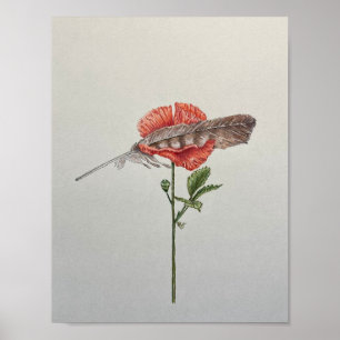 Affiche Tiens-moi doucement, coquelicot