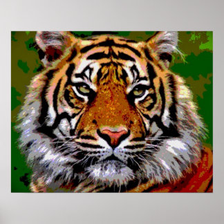 Affiche Tiger