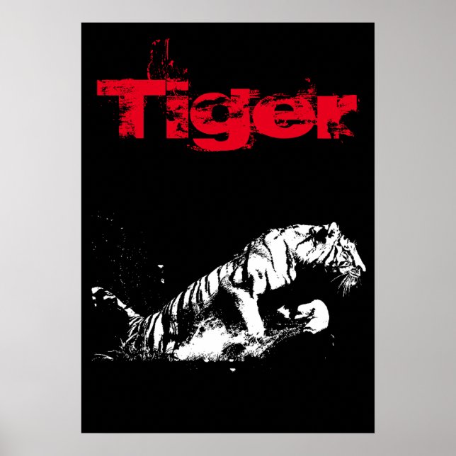 Affiche Tiger (Devant)