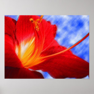 Affiche Tiger Lily "dessin"