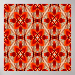 Affiche Tiger Lily Fun......