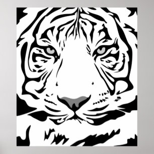 Affiche Tiger motif animal design plat