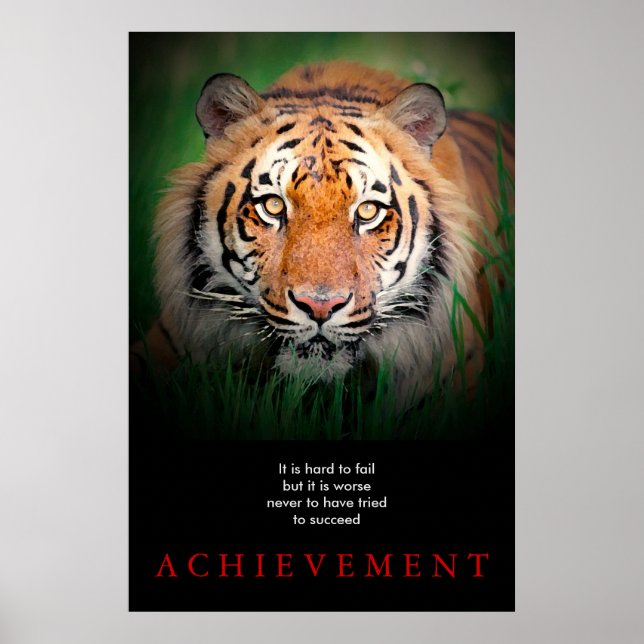 Affiche Tiger Motivation Réussite (Devant)