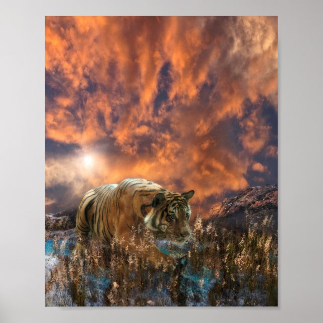 Affiche Tiger Stalking WHISPER ON THE BREEZE (Devant)