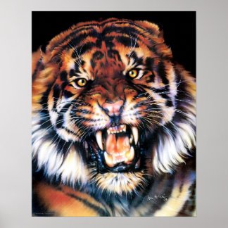 Affiche Tigre