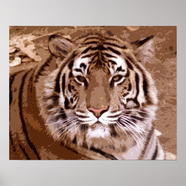 Affiche Tigre (Devant)