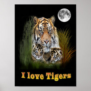 Affiche tigre