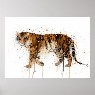 Affiche Tigre