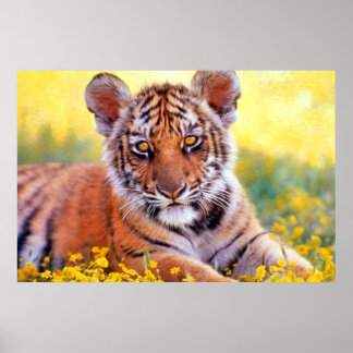Affiche Tigre Baby Cub