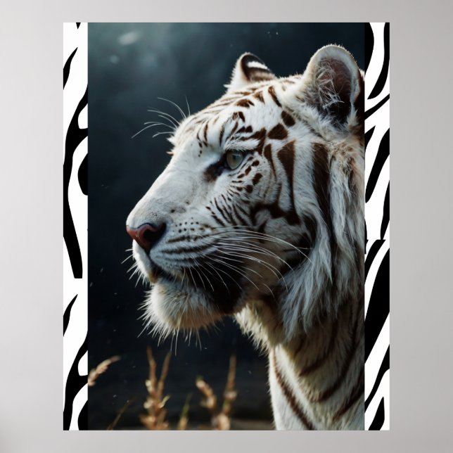Affiche Tigre blanc (Devant)