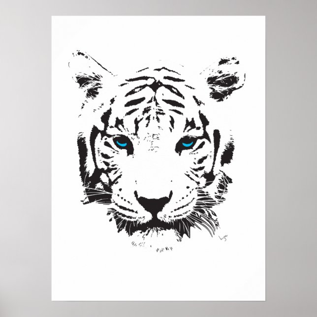 Affiche Tigre blanc aux yeux bleus (Devant)