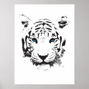 Affiche Tigre blanc avec des yeux bleus