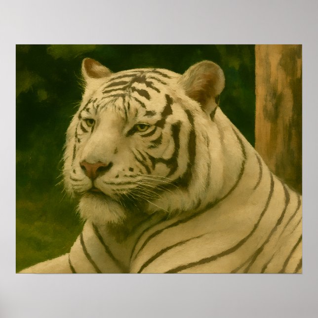 Affiche Tigre blanc reposant dans l'ombre des bois (Devant)