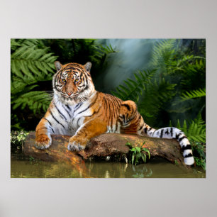 AFFICHE TIGRE DE LA JUNGLE