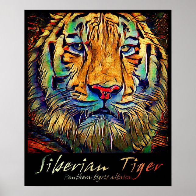 Affiche Tigre de Sibérie [Affiche d'art] (Devant)