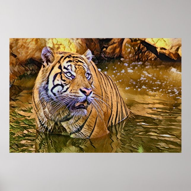 Affiche Tigre de Sumatra en peinture sur eau (Devant)