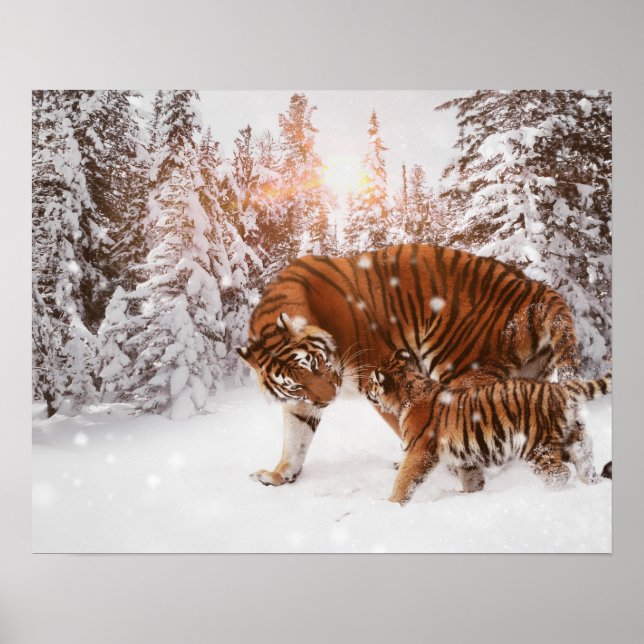 Affiche Tigre mère et fils (Devant)