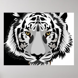 Affiche Tigre noir et blanc