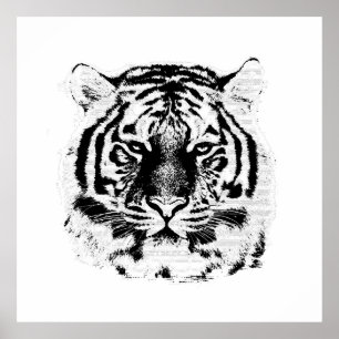 Affiche Tigre noir et blanc