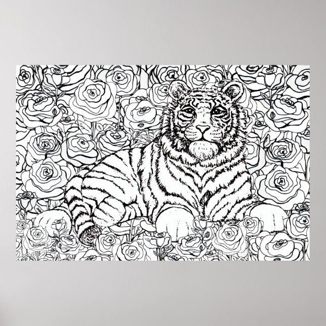 Affiche Tigre sage (Devant)