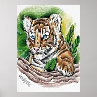 Affiche Tigreau – Illustration au crayon de couleur dessin