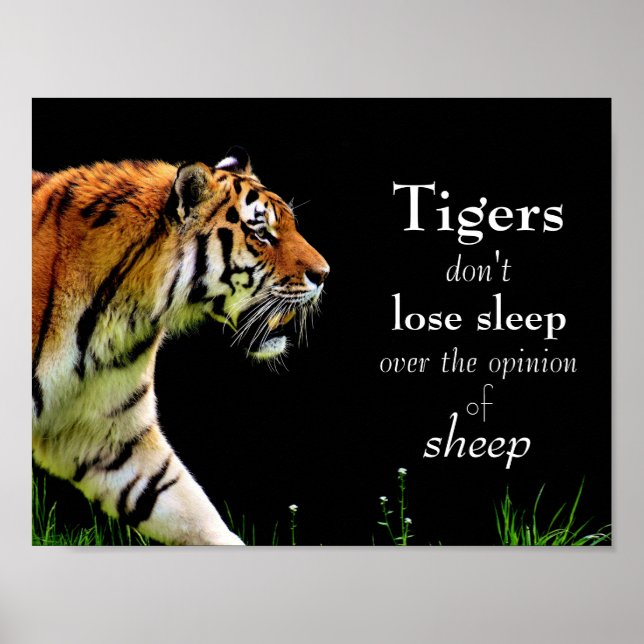 Affiche Tigres // Motivationnel (Devant)