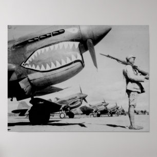 Affiche Tigres volants