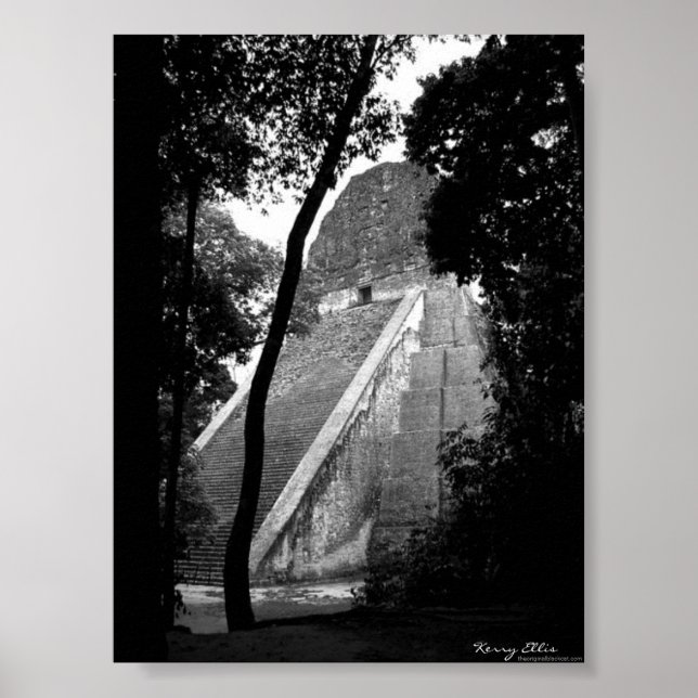 Affiche Tikal (Devant)