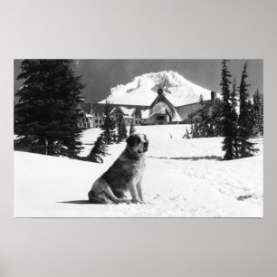Affiche Timberline Lodge et "Lady" le propriétaire