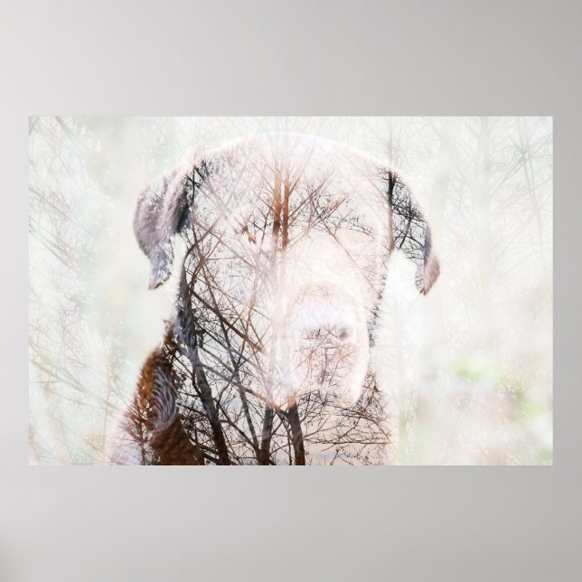 Affiche Timeless Journey (Devant)