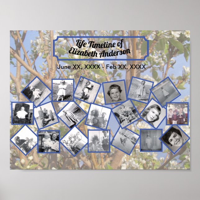 Affiche Timeline Photo Collage on White Blossom Tree (Devant)