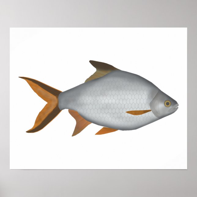 Affiche Tinfoil Barb (Devant)