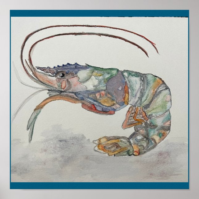 Affiche tirage de crevettes par C. JONES (Devant)