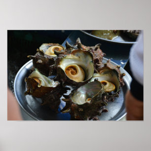 Affiche Tirage photo de 18×12 Haenyeo Sora Conch Harvest
