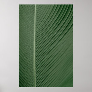 Affiche Tissu rayé vert et blanc