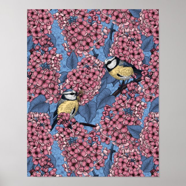 Affiche Tit birds dans le jardin lilas (Devant)